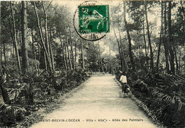 St Brévin L'océan * La Villa ALTA * Allée Des Palmiers - Saint-Brevin-l'Océan