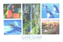 Australia:Gold Coast, Parrots, Dolphins, Waterfall, Surfar, Port - Gold Coast