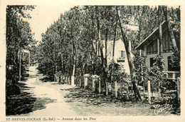 St Brévin L'océan * Avenue Dans Les Pins * Villa - Saint-Brevin-l'Océan