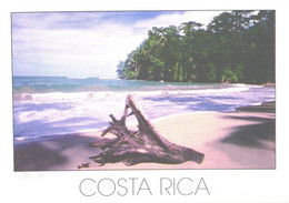 Costa Rica:Limon, Carribean Coast, Punta Uva - Costa Rica