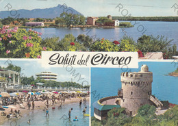 CARTOLINA  CIRCEO,LATINA,LAZIO,SALUTI,MARE,SOLE,ESTATE,VACANZA,SPIAGGIA,LUNGOMARE,BARCHE A VELA,VIAGGIATA 1970 - Latina