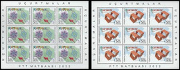 Turkey, Türkei - 2022 - Children's Kites Festival - 2.Complete Sheetlet Of 9 Set ** MNH - Ungebraucht