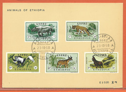 ANIMAUX RHINOCEROS ETHIOPIE CARTE DE 1968 - Boites A Timbres