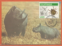 ANIMAUX RHINOCEROS MOZAMBIQUE CARTE MAXIMUM FDC DE 1980 - Stamp Boxes