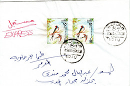 EGYPT, Express Letter, Birds, Swallows   /   L'ÉGYPTE ,  Lettre éxpres, Oiseaux, Hirondelles  1999 - Schwalben