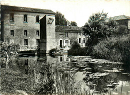 Moncoutant * Vue Sur Le Moulin * Minoterie * Pêche à La Ligne Pêcheur - Moncoutant