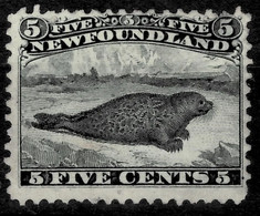 Canada/ Newfoundland 1868 5c. ☀ Seal - Scott # 26 ,SG 38, Mi. 400 € ☀ Unused MNG - Neufs