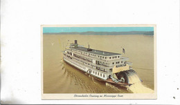 Sternwheeler Cruising Mississippi River - Other & Unclassified