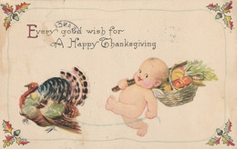 Every Good Wish For A Happy Thanksgiving - Thanksgiving