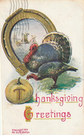 Thanksgiving Greetings - Giorno Del Ringraziamento