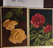 2 Cpa, éd Thor E Gyger, 291 Pivoine Des Jardins Et 1161 Rose, Non écrites - Fleurs