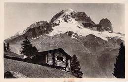 CPA - 74 - CHAMONIX Mont Blanc - Tréléchamp Et L'Aiguille Verte - G Tairraz Chamonix - Chamonix-Mont-Blanc