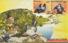 India 2010  Pegeon And Sparrow  Special Limited Edition  FDC  #  34577 D  Inde Indien - Cernícalo