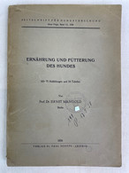 Ernährung Und Fütterung Des Hundes. - Tierwelt