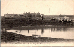 62 SANGATTE - Route De Sangatte Les Salines - Ferme - Agriculture - Sangatte