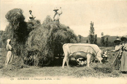 Lourdes * Les Chargeurs De Foin * Travail Aux Champs Fenaison * Attelage De Boeufs - Lourdes