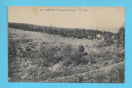 CPA..dépt 21..CHENOVE : Escargotière Thabard  - N°398 - 2 Scans - Chenove