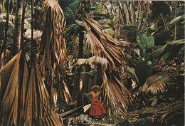 Seychelles Old Postcard - Seychelles