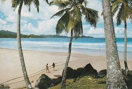 Seychelles Old Postcard - Seychelles