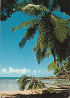 Seychelles Old Postcard - Seychelles