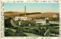 GRUSS AUS DITTERSDORF I. Erzgeb.  - Filzfabrik. - Zwoenitz