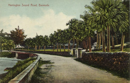 Bermuda, Harrington Sound Road (1910s) Postcard - Bermuda