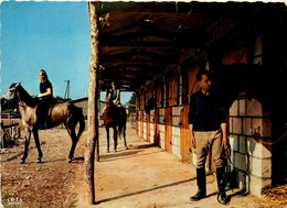 Niort * Le Club Hippique Niortais LA CAMARGUE * Avenue De La Rochelle * Haras Hippisme Chevaux - Niort