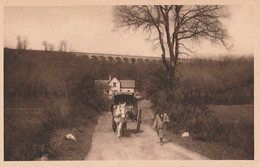 LUSIGNAN . -  Le Chemin Du Parc Et Le Viaduc Du Chemin De Fer Dit Des "Treize-Arches" - Lusignan