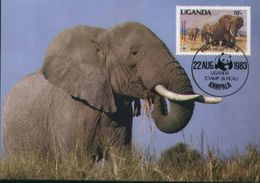 WWF  UGANDA   10 Sh  Reprint ( Michelnr. A 601 ) On  MC - Elefantes