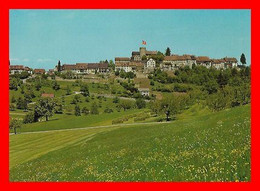 CPSM/gf  REGENSBERG (Suisse) Vue Générale...P266 - Regensberg