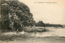 Arradon * Le Châtaigner De Kerat * Lavoir Laveuses - Arradon