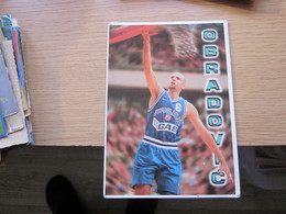 Sasa Obradovic - Basket-ball