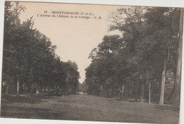 Essonne   :  MONTGERON :  Avenue D U  Château  D E La  Grange - Montgeron