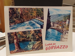 Cartolina  Saluti Da Gorgazzo Fa Parte Del Comune Di Polcenigo, In Provincia Di Pordenone 1966, Sorgente - Pordenone