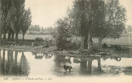 CPA Dijon-L'ouche Au Parc-137           L1852 - Dijon