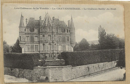 85   LA  CHATAGNERAIE   LE  CHATEAU   BAILLY  DU  PONT - La Chataigneraie