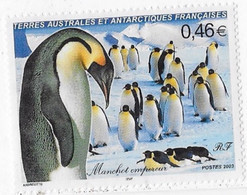 ⭐ TAAF - YT  N° 360 ** - Neuf Sans Charnière ⭐ - Unused Stamps