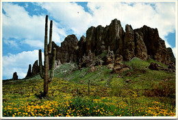 Arizona Phoenix Superstition Mountain - Phoenix