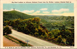 West Virginia Bluefield Big Bend Lookout In Jefferson National Forest Curteich - Other & Unclassified