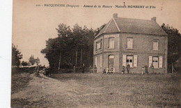 Macquenoise (Belgique)annexe De La Masure Maison Hombert Et Fils N'a Pas Circulé - Momignies