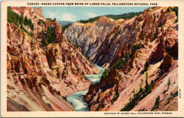 Yellowstone National Park Grand Canyon From Brink Of Lower Falls Curteich - USA Nationalparks
