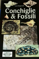 "Conchiglie & Fossili" Di Luca Vergassola - Medicina, Biologia, Chimica