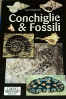 "Conchiglie & Fossili" Di Luca Vergassola - Geneeskunde, Biologie, Chemie