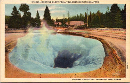 Yellowstone National Park Morning Glory Pool Curteich - USA National Parks