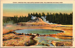 Yellowstone National Park Crested Pool And Castle Geyser Cone Curteich - USA Nationale Parken