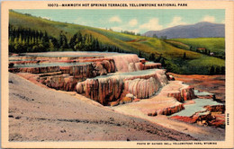 Yellowstone National Park Mammoth Hot Springs Terraces Curteich - USA National Parks