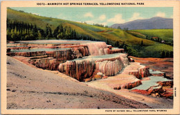Yellowstone National Park Mammoth Hot Springs Terraces Curteich - Parques Nacionales USA
