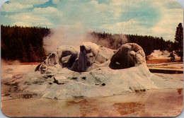 Yellowstone National Park Grotto Geyser Upper Geyser Basin - USA Nationalparks