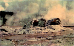 Yellowstone National Park Grotto Geyser Cone Upper Geyser Basin - Parques Nacionales USA