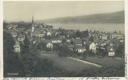 Wadenswil Switzerland Partial View Postcard 1932 - Wädenswil